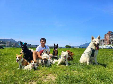 和狗🐶 - 和狗日常汪