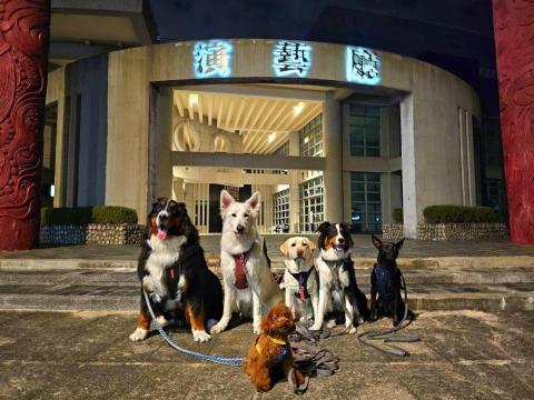 和狗🐶 - 一起出發台中Go！