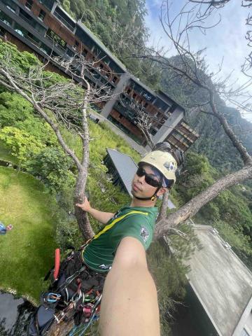 翠碧雅柏顧問有限 - 攀樹工程