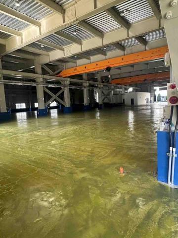 楊旻憲-防水油漆抓漏 - 