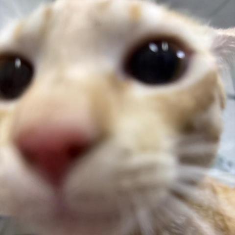 提供電繪板服務的專家zz