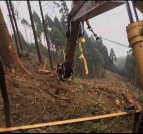 森活空間企業社