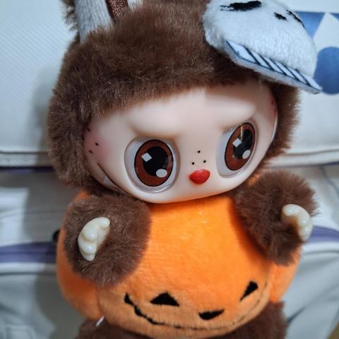 提供托運服務的專家小布