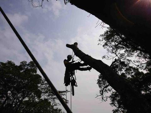 翠碧雅柏顧問有限公司