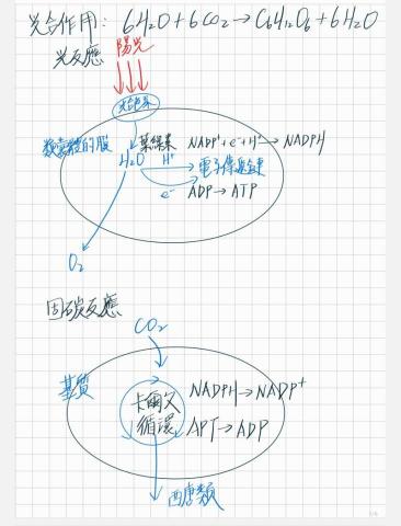 白聖銘 - 個人學習筆記