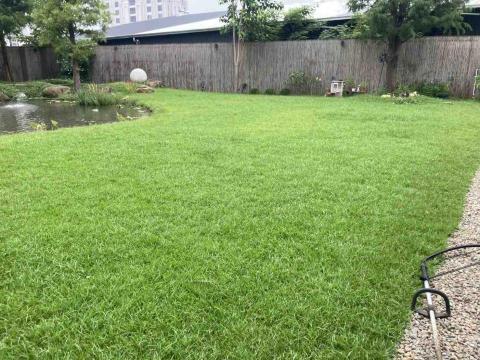 小巴個人工作室 - 