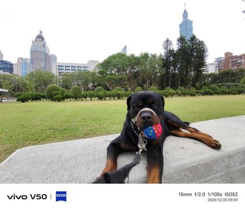 汪管家 Pet Butler | |高端寵物到府照護 - kuma 的日常 每天服務兩至三小時