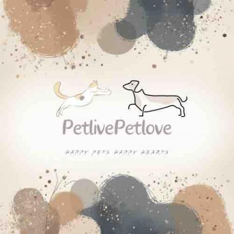 茄萣寵物散步人員推薦🌈 petlive寵愛毛孩｜居家到府｜寵物保姆