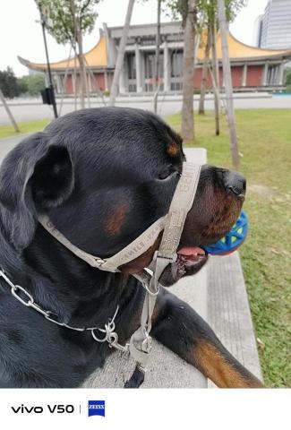 南投市寵物旅館推薦汪管家 Pet Butler | |高端寵物到府照護