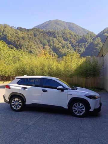 張峻偉 - 熱門景點接送，包車旅行，機場接送