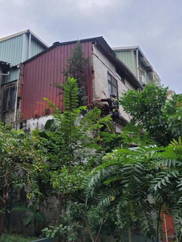 嵐玥工程 - 外牆植物清除