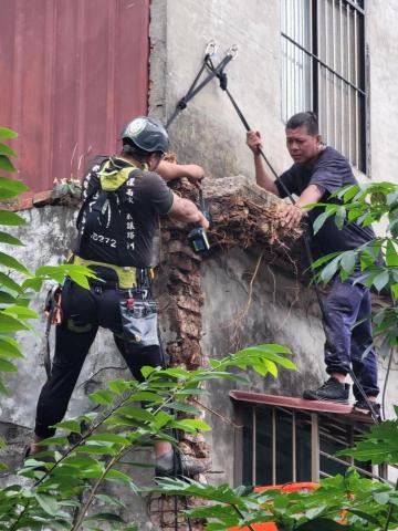 嵐玥工程 - 外牆植物清除