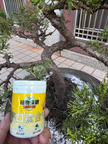 太杉 景観園芸所 エンゲイショ - 