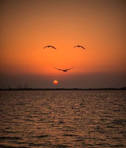 台北木工師傅推薦佳新室內裝修工程