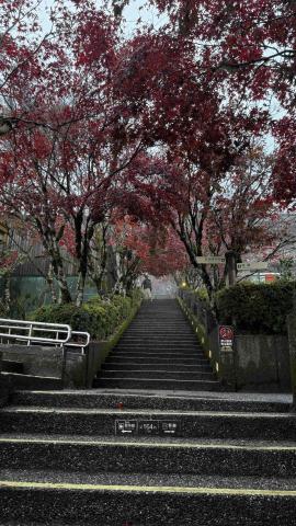 鄭家驊 - 太平山風景區