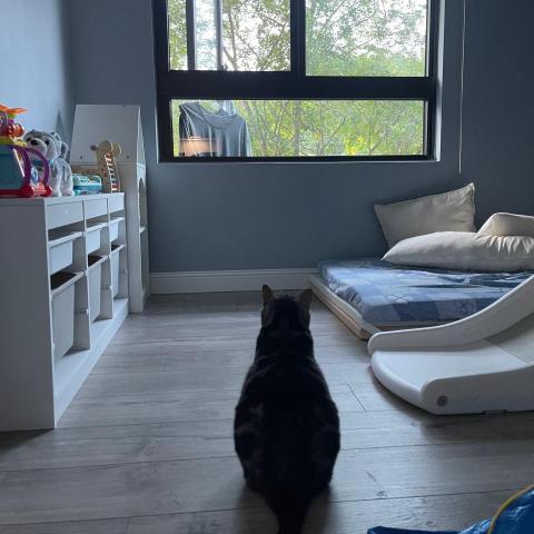 辰邑整合設計有限公司