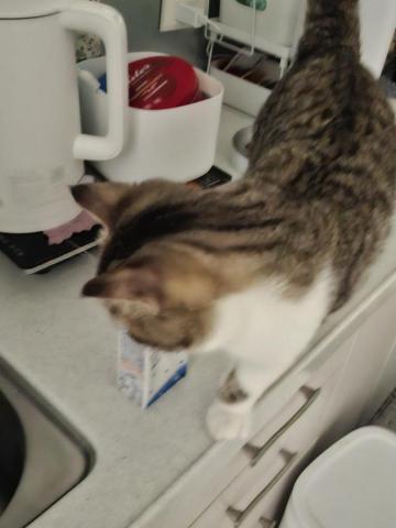 提供床墊發黴服務的專家劉智弘