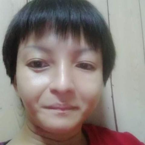 提供ktv服務的專家哈雷彗星