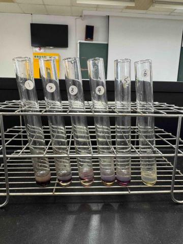 范皓淇 -  
藥學專業能力