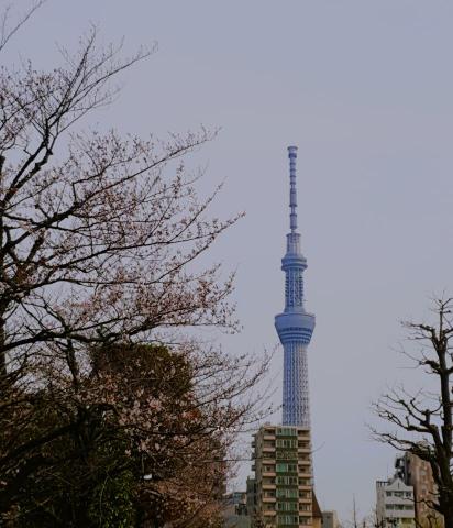 Ivan. - 景色拍攝