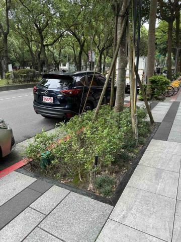 向量工作室 - 範例4 施工前