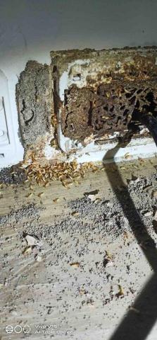 易群環消除蟲企業社 - 白蟻巢