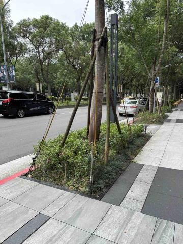 向量工作室 - 範例3 施工前