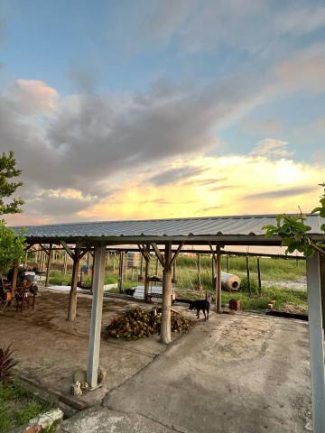 傑瑤企業社 - 大型遮雨棚