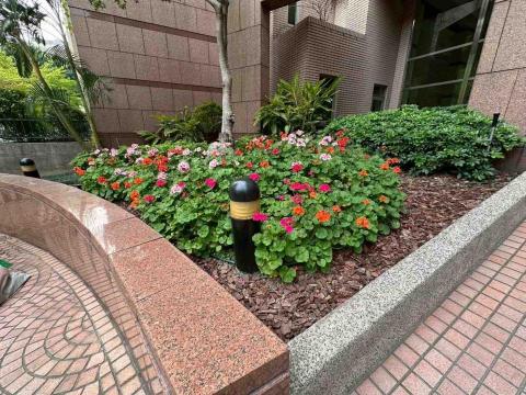 向量工作室 - 範例7 施工後