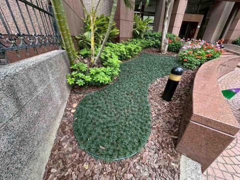 向量工作室 - 範例8 施工後