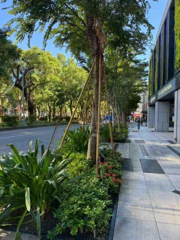 向量工作室 - 範例2 施工後