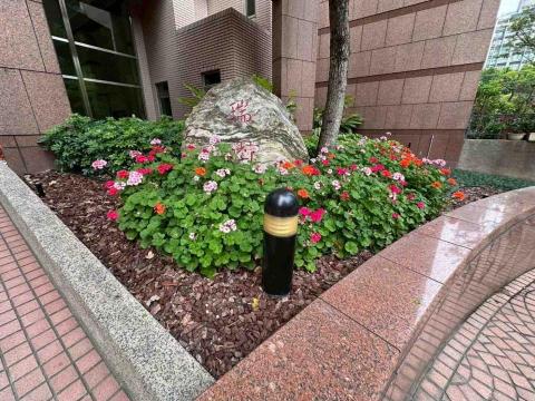 向量工作室 - 範例5 施工後