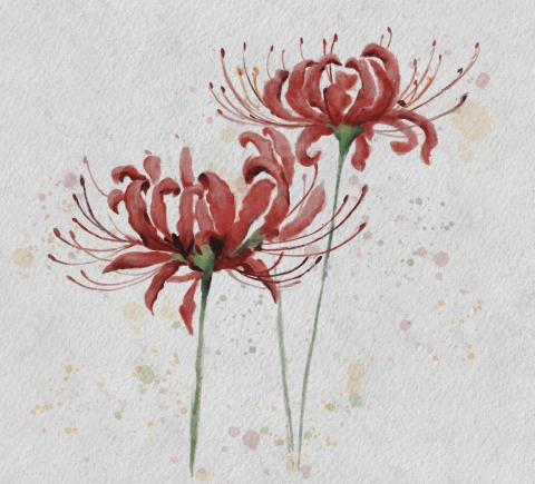 Mika - IPad  Procreate繪圖