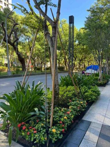 向量工作室 - 範例3 施工後