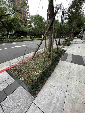 向量工作室 - 範例1 施工前