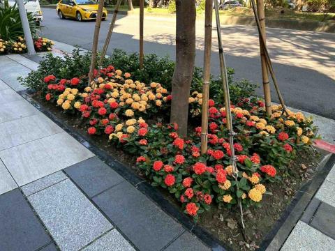 向量工作室 - 範例4 施工後