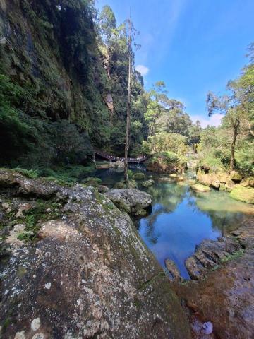 提供plc服務的專家湘