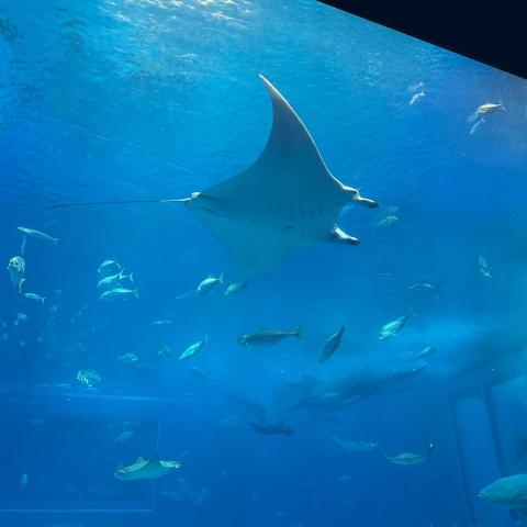 提供台中租屋包租代管服務的專家吳宥昇