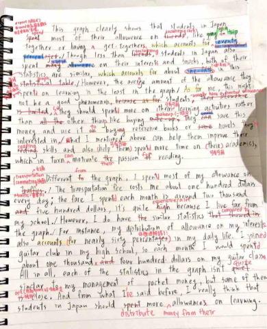 盧慧中 - 學生的作文批改