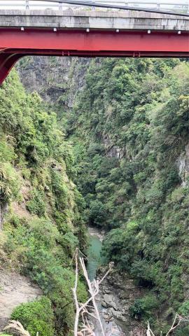 提供55688花蓮服務的專家亦騰工程清潔