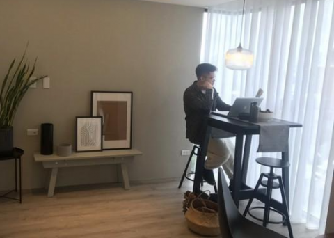 ChineseShop - 工作室