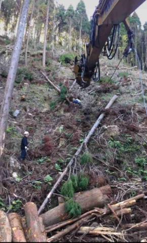 森活空間企業社 - 林班伐木