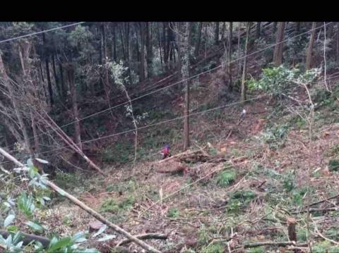 森活空間企業社 - 林班集才