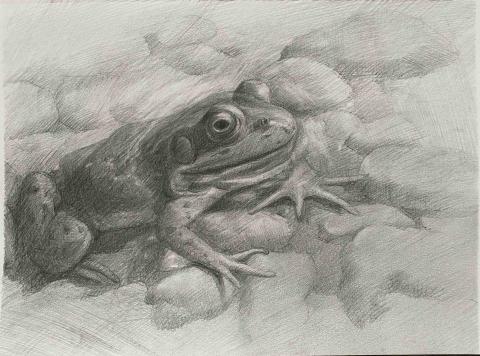 Jasmine老師 - 鉛筆素描