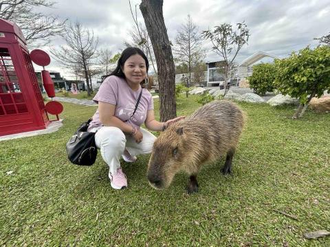 提供irent審核服務的專家陳郁玲