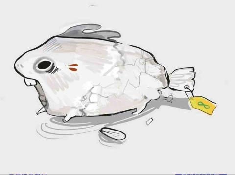 🌟✈️BRAHE - 插畫設計-2