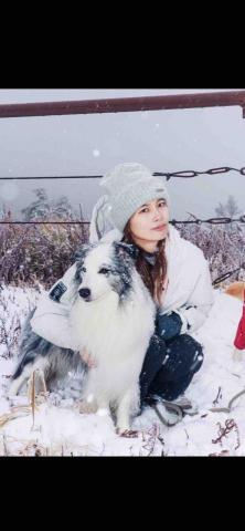 寵物攝影/jason - 