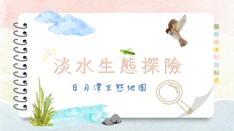 洪小姐 - 學生生物簡報