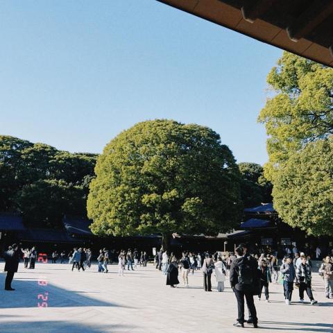 提供租車一天服務的專家Marty