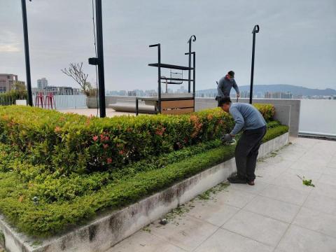 心之園藝企業社 - 植栽修剪保養
